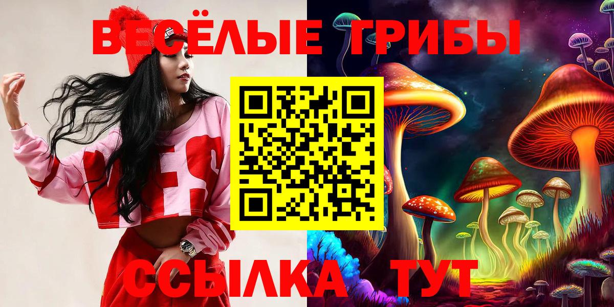 Чебаркуль  Галлюциногенные грибы MAGIC MUSHROOMS  Вход с VPN 
