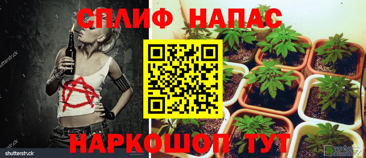 Шишки марихуана конопля Чебаркуль
